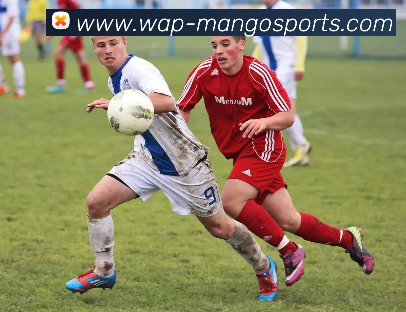 体育下注APP 封面图