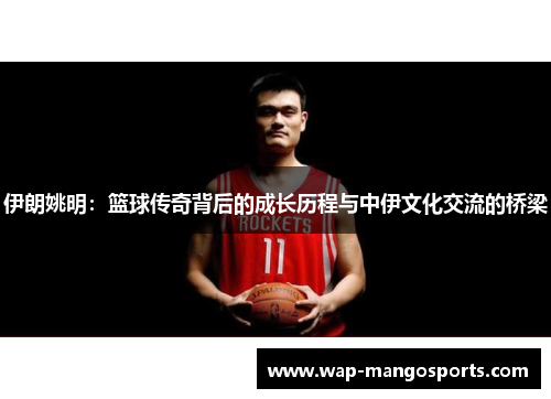 伊朗姚明：篮球传奇背后的成长历程与中伊文化交流的桥梁