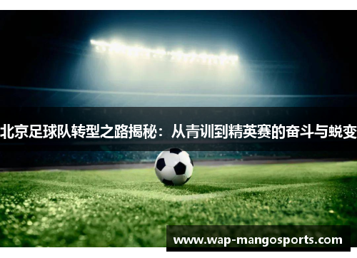 北京足球队转型之路揭秘：从青训到精英赛的奋斗与蜕变