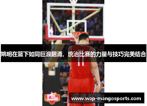姚明在篮下如同巨浪翻涌，统治比赛的力量与技巧完美结合