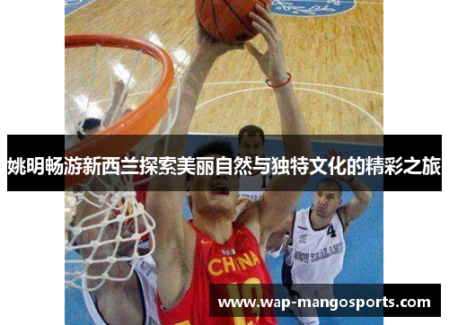 姚明畅游新西兰探索美丽自然与独特文化的精彩之旅
