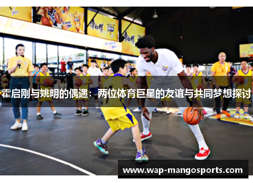 霍启刚与姚明的偶遇：两位体育巨星的友谊与共同梦想探讨